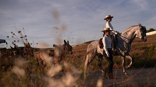 En el camino, los animales son lo primero