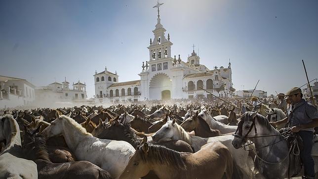 Almonte saca las yeguas de Doñana