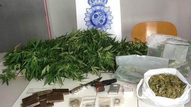Propina una paliza a su hijo porque se le olvidó regar sus plantas de marihuana