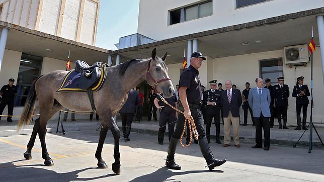 Un ingeniero agrónomo sevillano dona por cuarta vez un caballo a la Policía Nacional