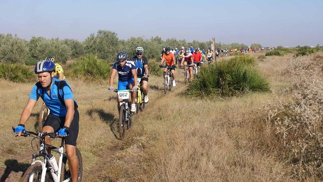 Las bicicletas son para antes de la Feria de Utrera