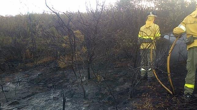 Extinguido un incendio en El Ronquillo que ha afectado a una zona de matorral