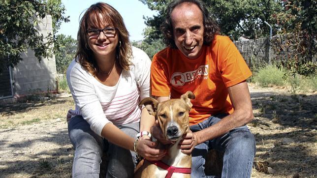 Una familia madrileña adopta al perro apuñalado en la nuca