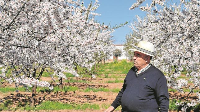 El imperio de la almendra