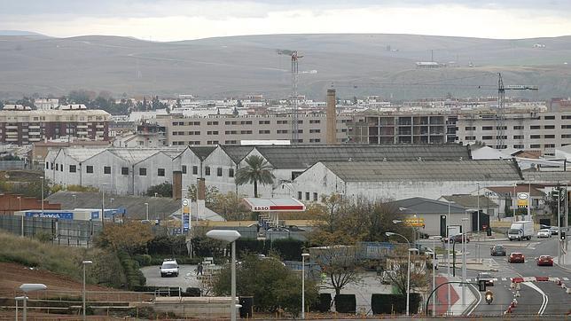 Dcoop traslada hasta Alcolea la fábrica de salsas Musa