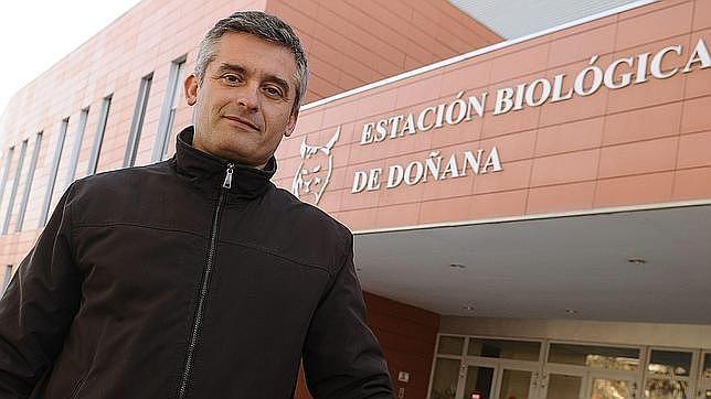 El CSIC cesa al director de la Estación Biológica de Doñana, Juan José Negro