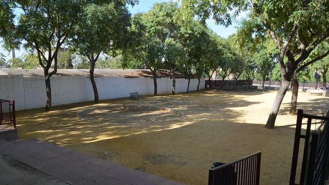 El colegio de La Fontanilla de Utrera se enfrenta a una plaga de pulgas