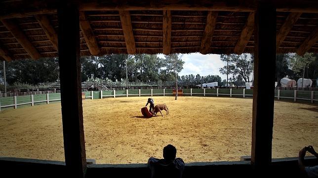 Morante reúne en su finca de La Puebla tres tauromaquias de distintas épocas