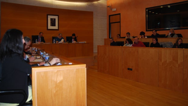 El Ayuntamiento de Dos Hermanas no financiará espectáculos con animales
