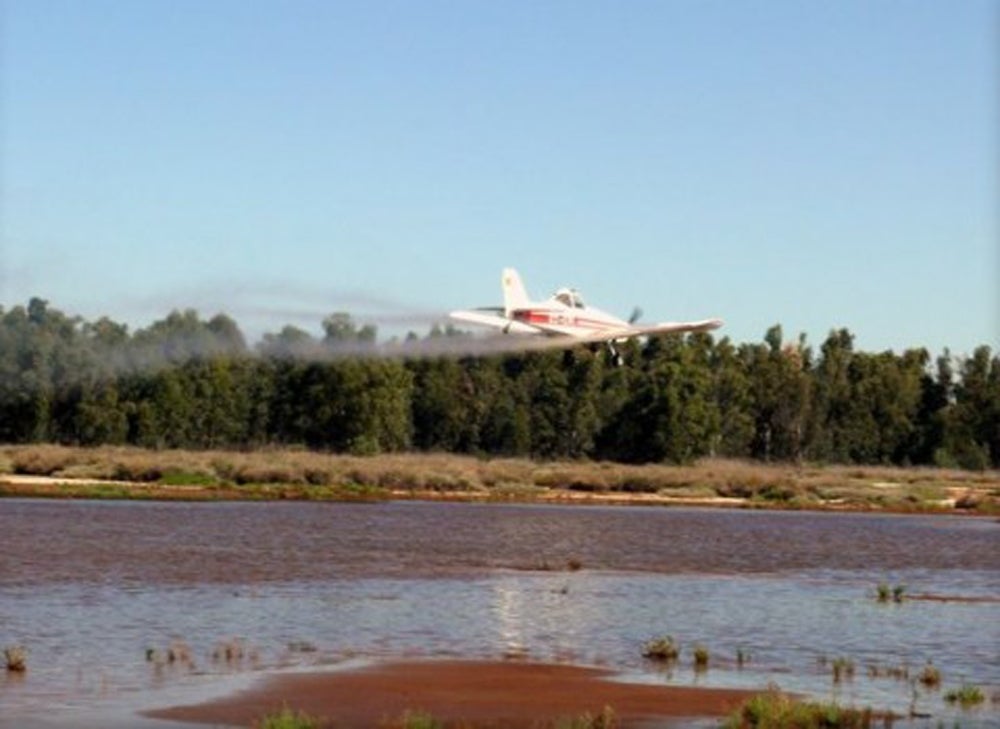 Una avioneta fumigando sobre marismas