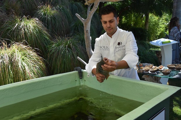 Un restaurante para comer piraña en Málaga