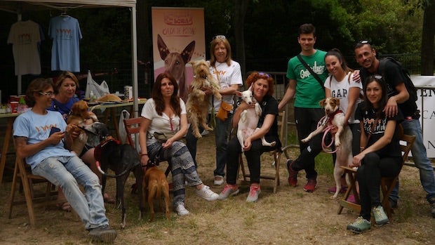 Poseen un refugio donde recogen a animales abandonados-ABC