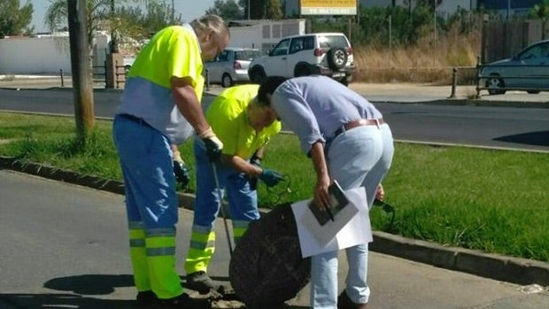 Se han realizado análisis técnicos para intentar averigüar la causa