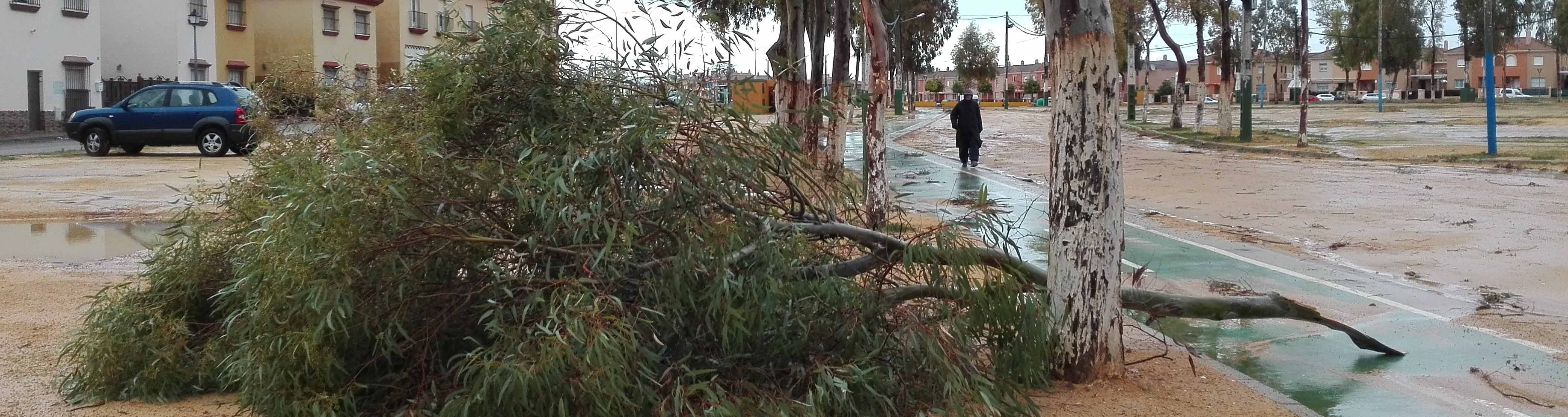 Los servicios de emergencia han tenido una noche movida en Utrera
