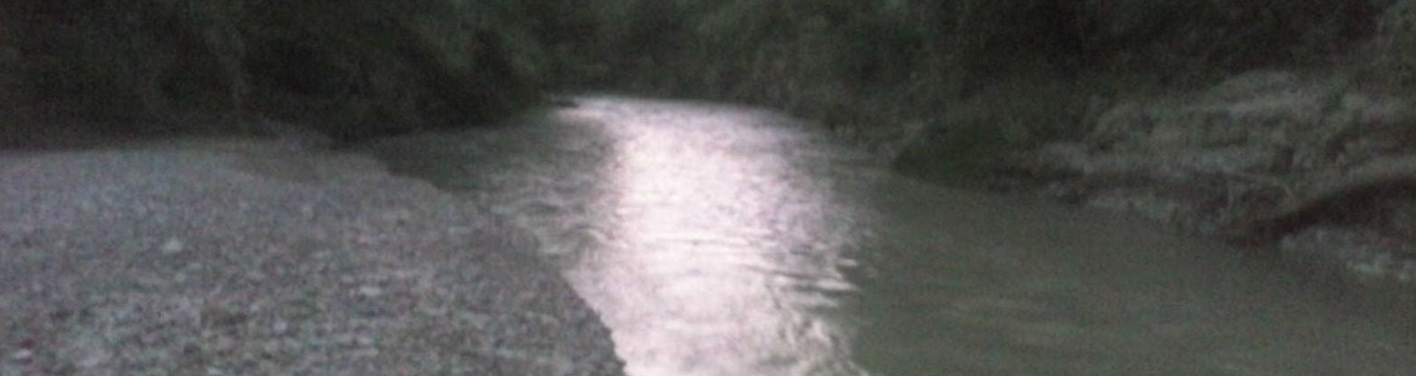 La mortandad de peces se produjo en el río Guadalbullón