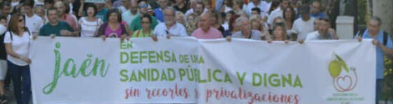 Manifestación de la plataforma para exigir mejoras en la sanidad pública