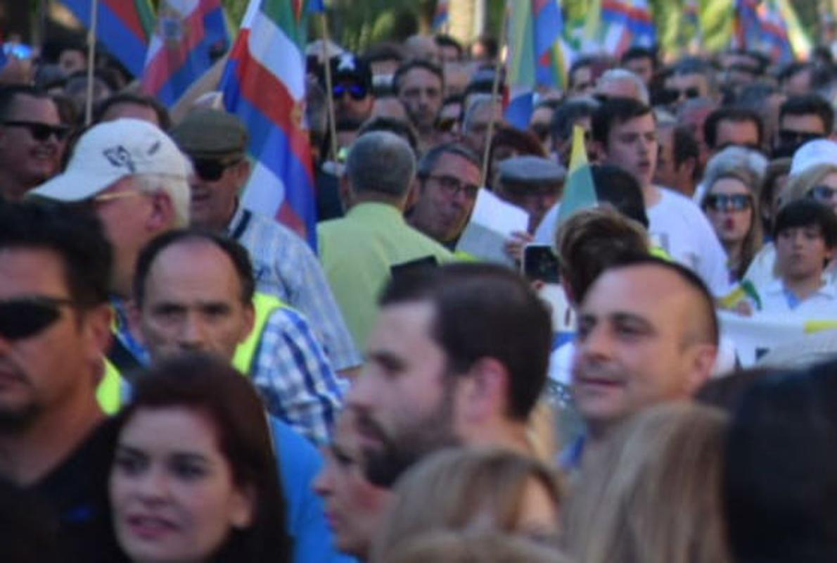 Decenas de miles de personas participaron en la manifestación del 17 de mayo en Linares