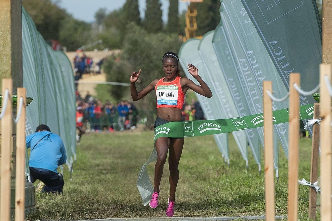 El Cross Internacional de Itálica, en imágenes