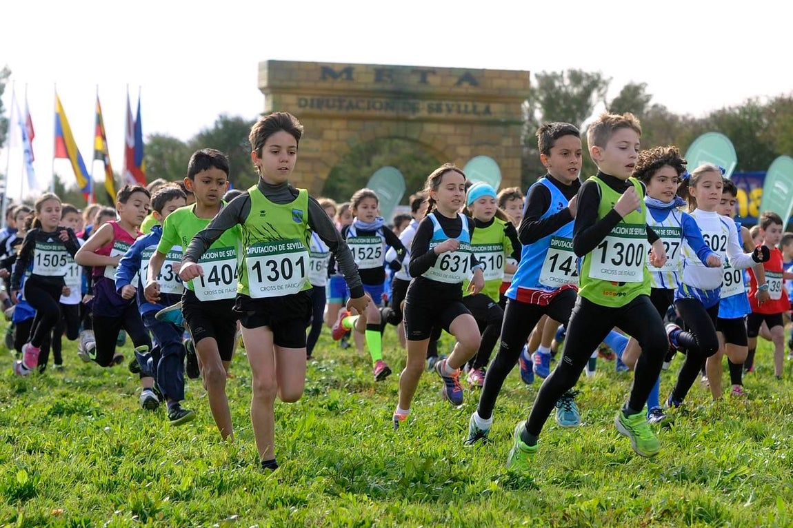 El Cross Internacional de Itálica, en imágenes