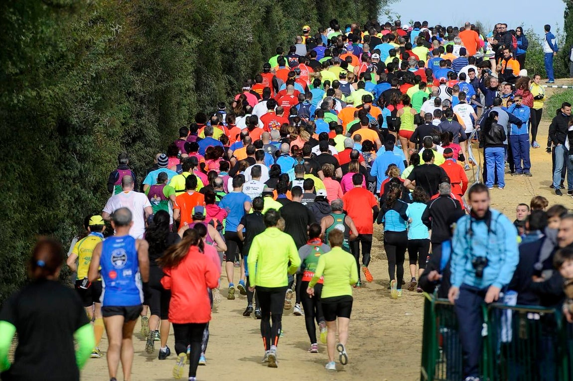 El Cross Internacional de Itálica, en imágenes