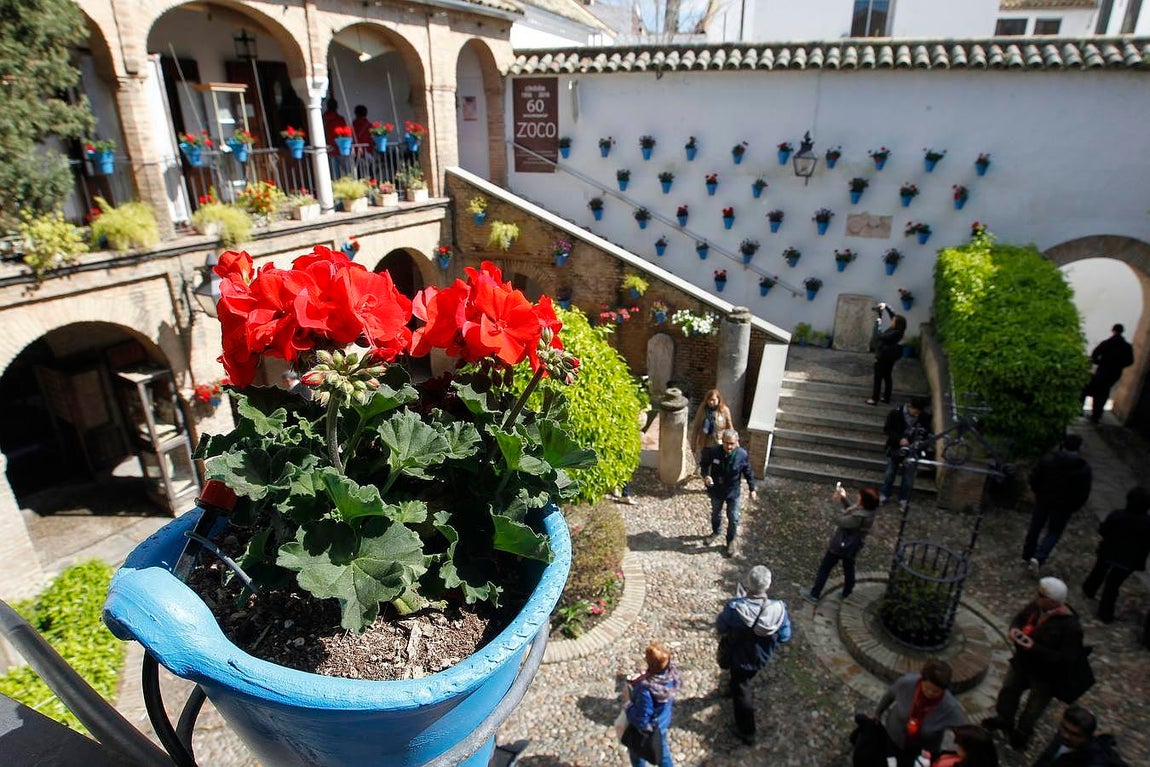 Una visita al Zoco municipal en imágenes