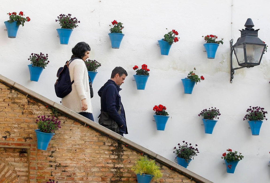 Una visita al Zoco municipal en imágenes