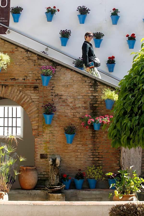 Una visita al Zoco municipal en imágenes