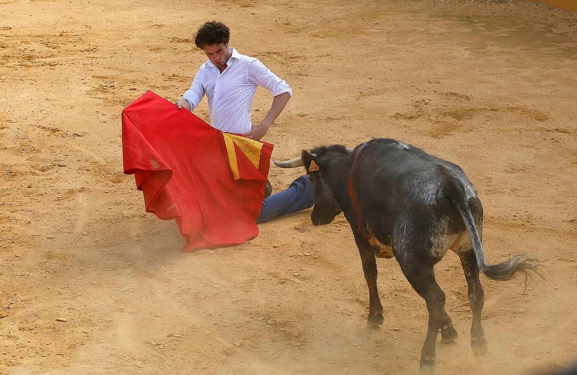 Finito, al natural, en imágenes
