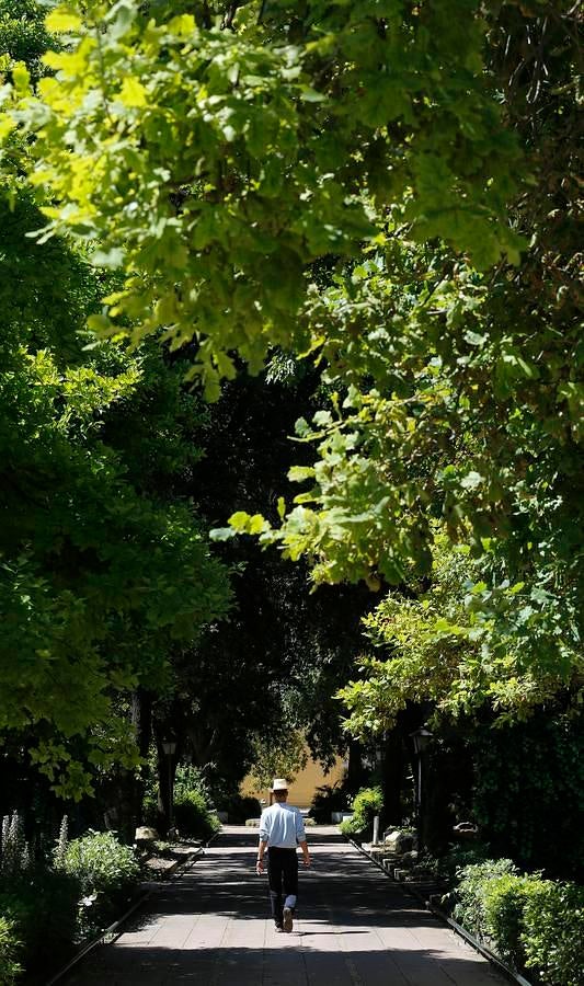 Un paseo por el Real Jardín Botánico de Córdoba, en imágenes