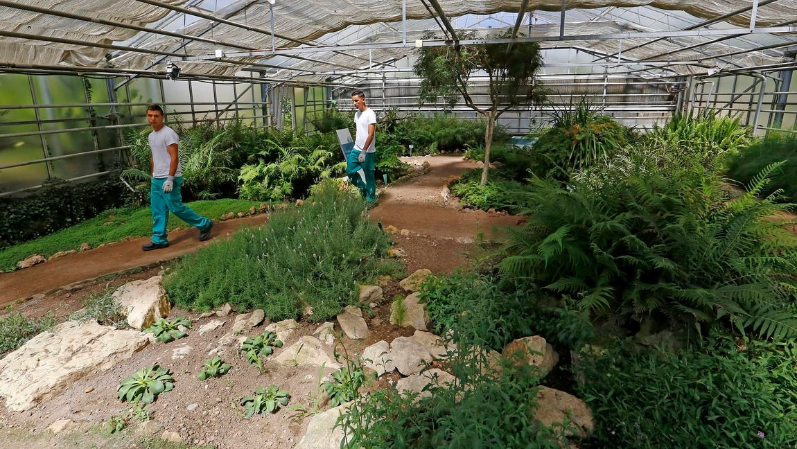 Un paseo por el Real Jardín Botánico de Córdoba, en imágenes