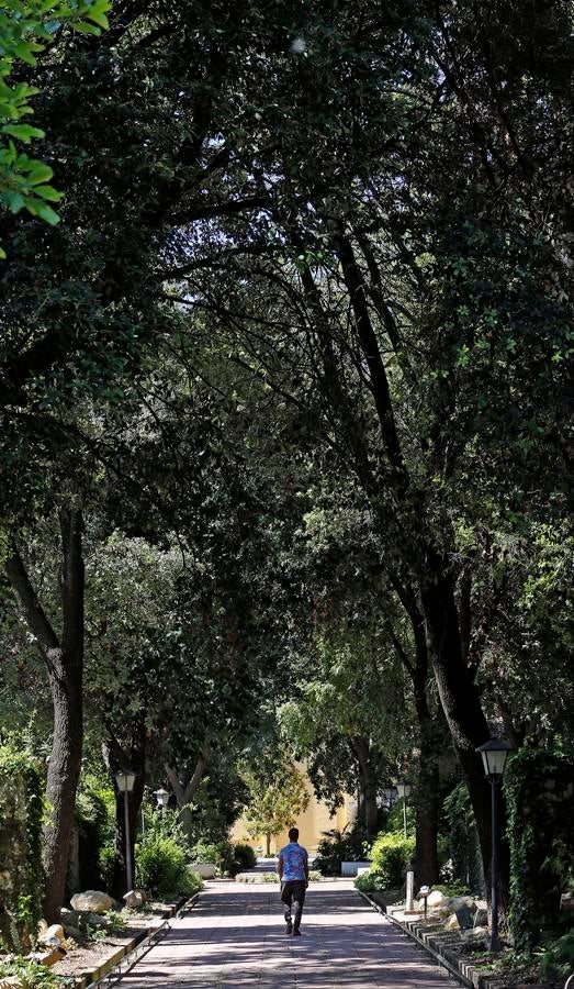 Un paseo por el Real Jardín Botánico de Córdoba, en imágenes