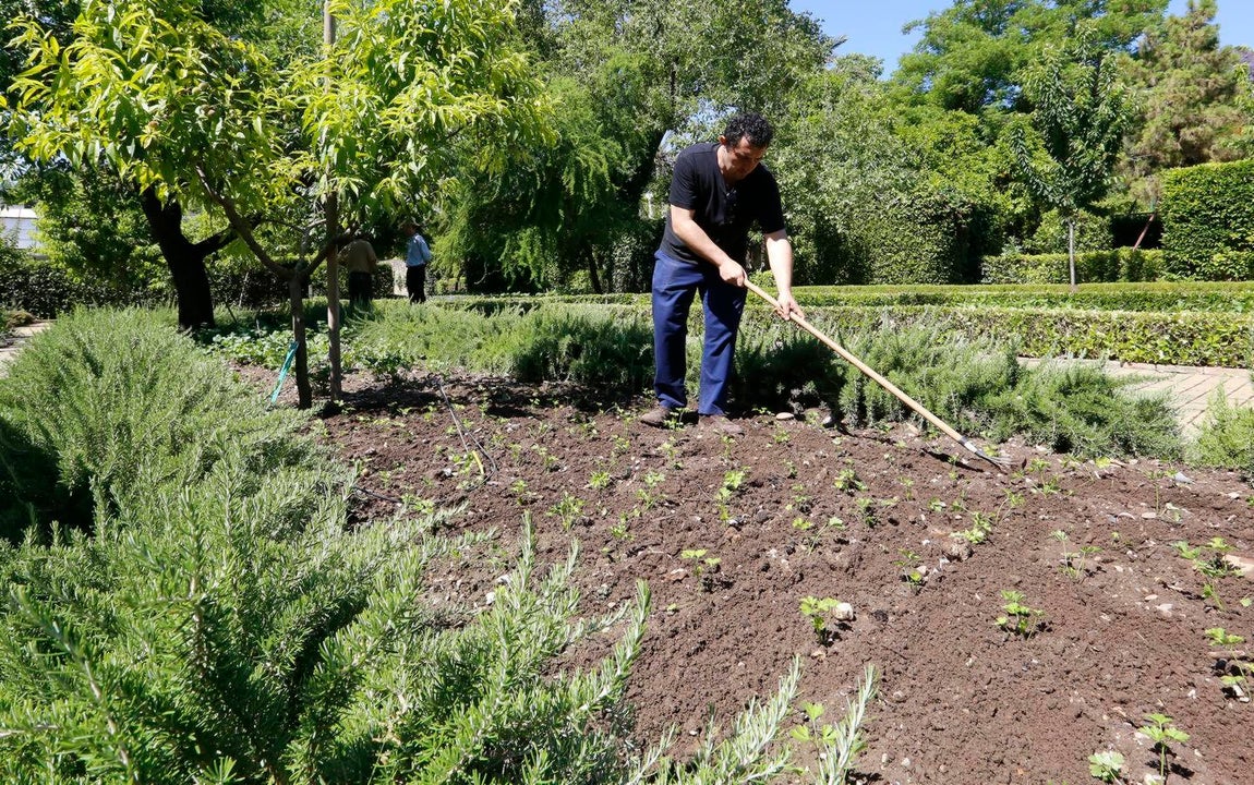 Un paseo por el Real Jardín Botánico de Córdoba, en imágenes