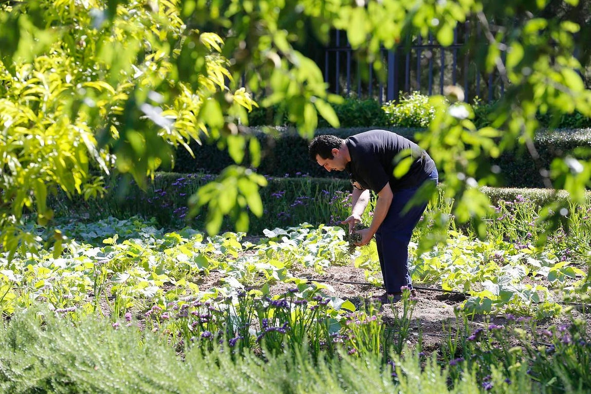 Un paseo por el Real Jardín Botánico de Córdoba, en imágenes