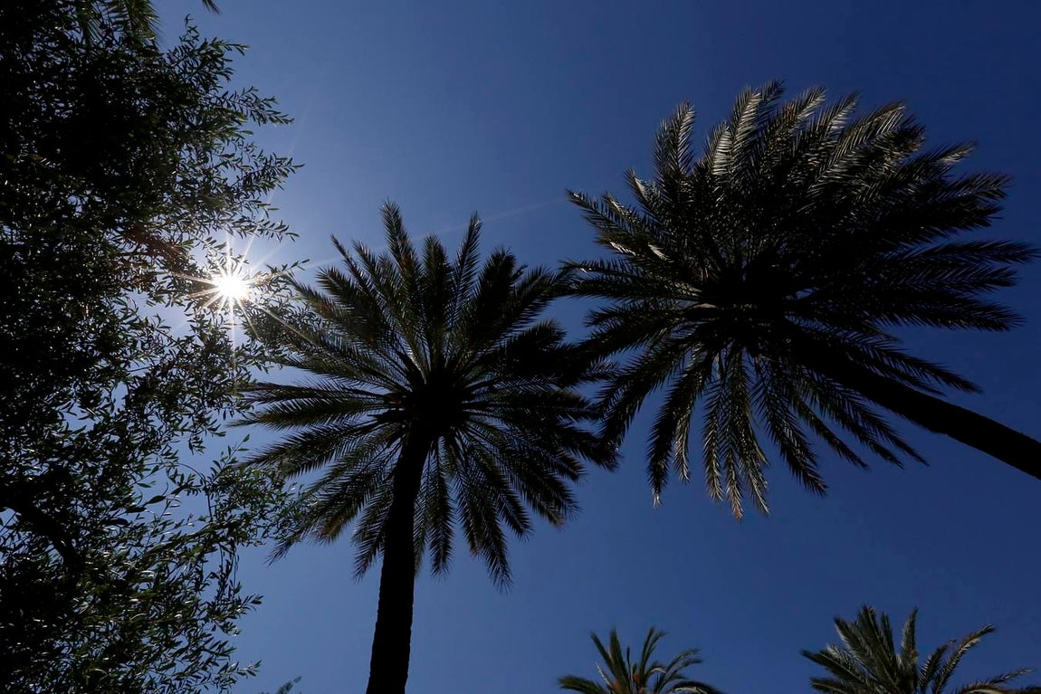 Un paseo por el Real Jardín Botánico de Córdoba, en imágenes