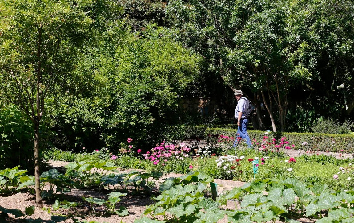 Un paseo por el Real Jardín Botánico de Córdoba, en imágenes