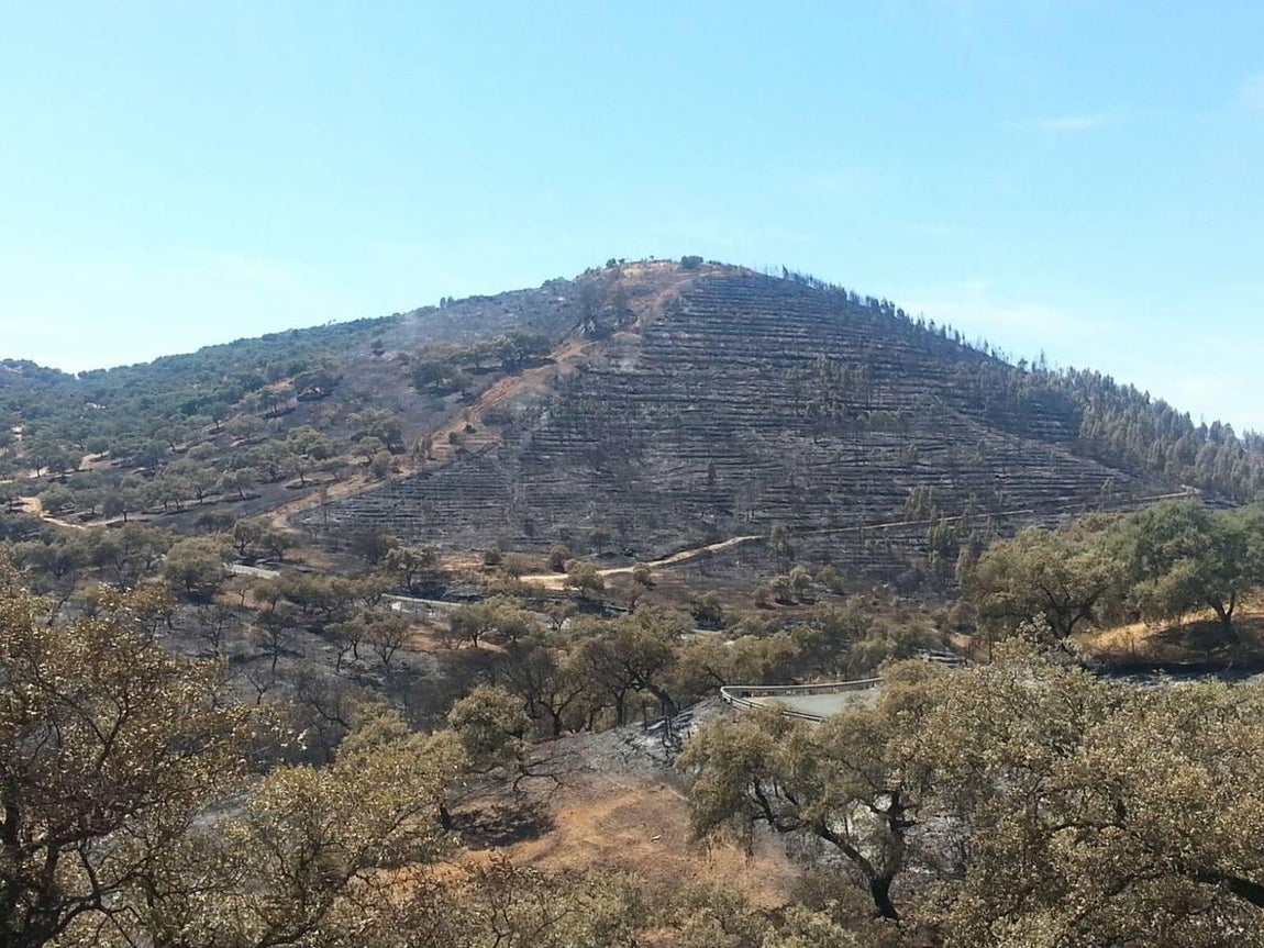Cenizas tras el incendio de El Castillo de las Guardas