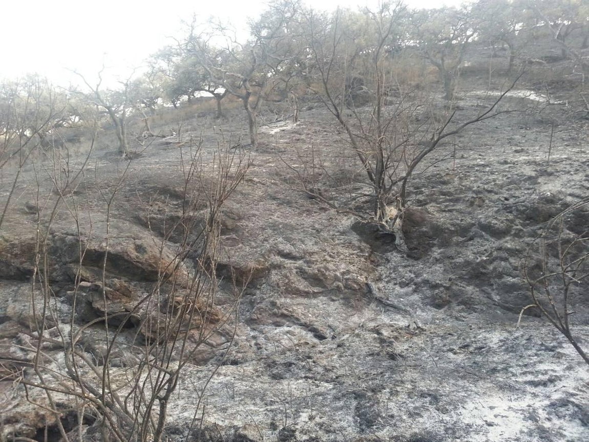 Cenizas tras el incendio de El Castillo de las Guardas