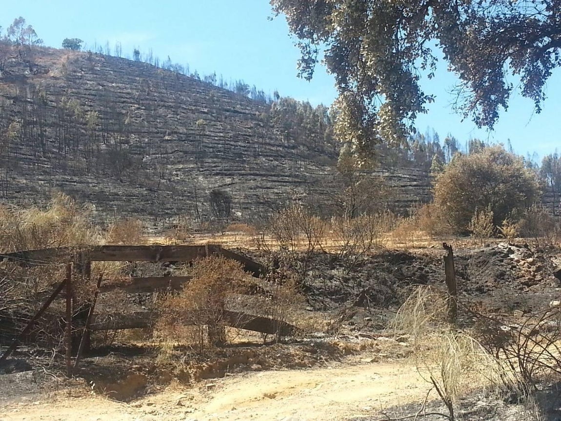 Cenizas tras el incendio de El Castillo de las Guardas