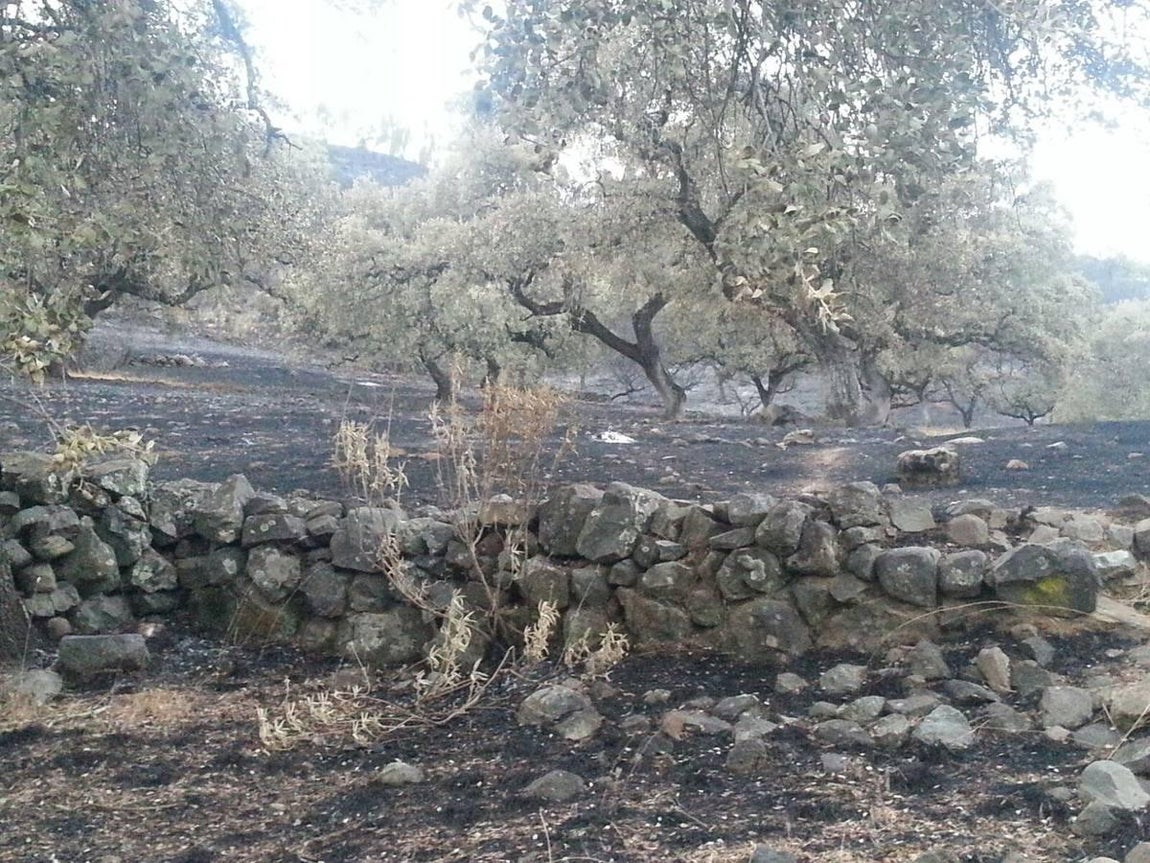 Cenizas tras el incendio de El Castillo de las Guardas