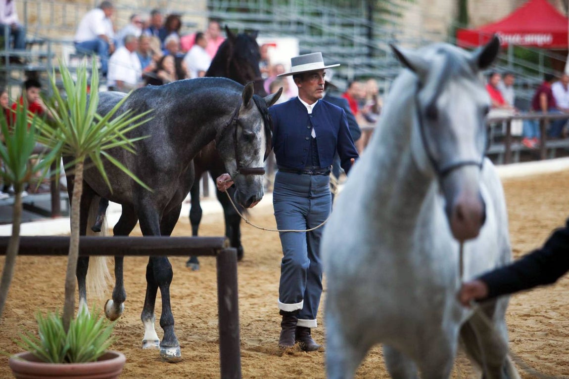 El arranque de Cabalcor, en imágenes