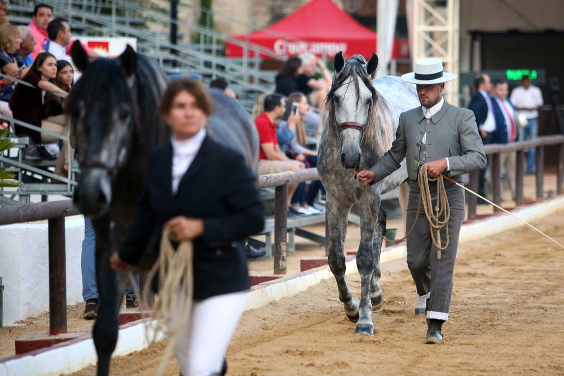 El arranque de Cabalcor, en imágenes