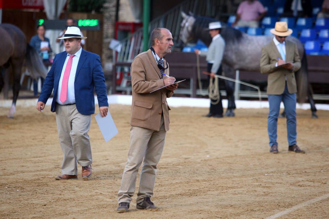 El arranque de Cabalcor, en imágenes