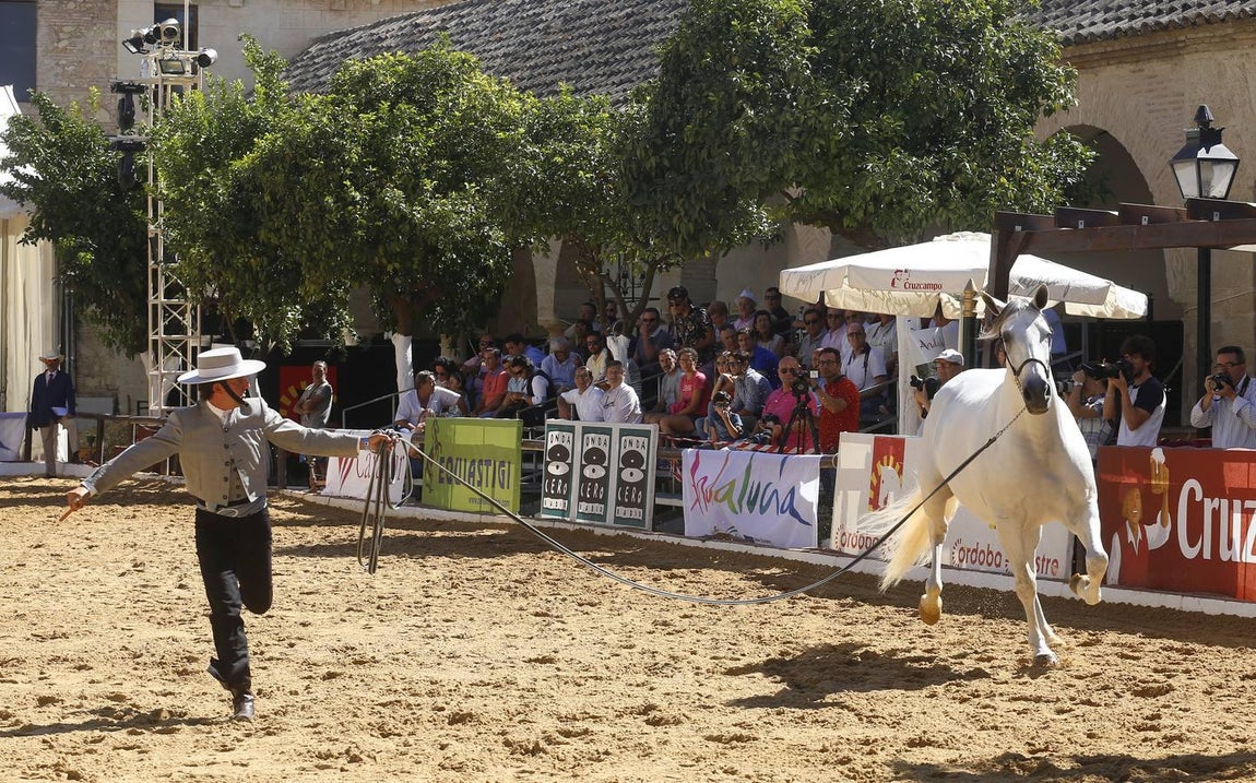 La Feria del Caballo de Córdoba, en imágenes