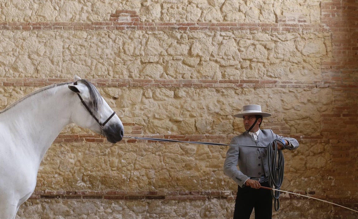 La Feria del Caballo de Córdoba, en imágenes