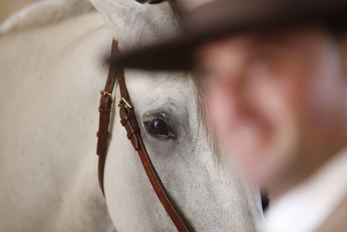 La Feria del Caballo de Córdoba, en imágenes
