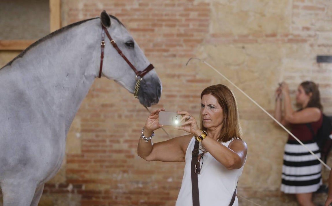 La Feria del Caballo de Córdoba, en imágenes