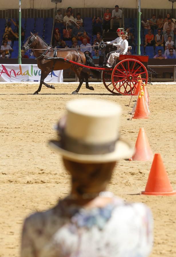 La Feria del Caballo de Córdoba, en imágenes