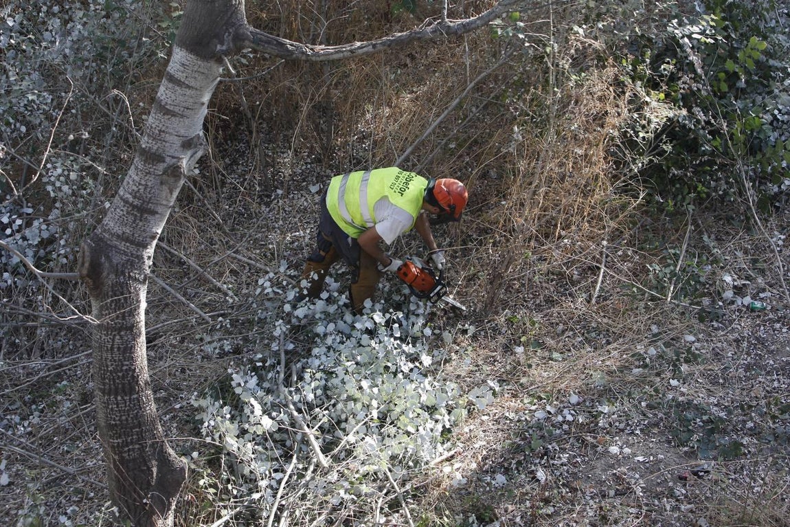 La peor cara del río Guadalquivir en Córdoba