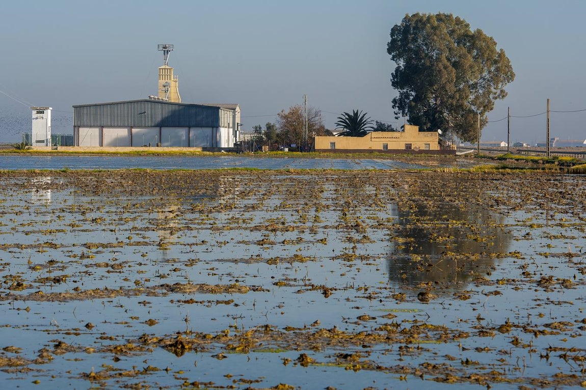 Golpe al narcotráfico en la apacible localidad de Isla Mayor