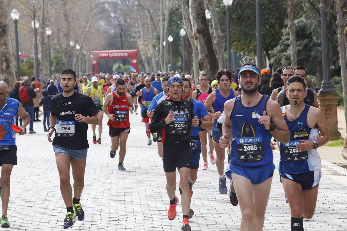 ¿Has corrido el Maratón de Sevilla? ¡Búscate en las imágenes! (II)